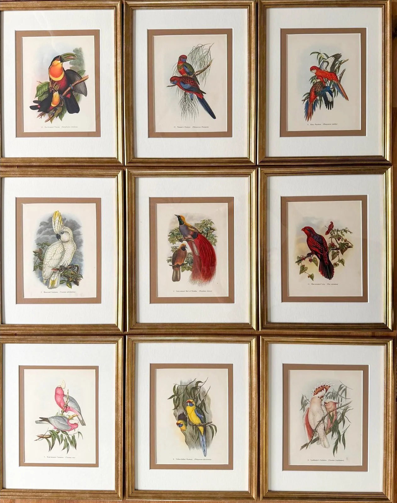 fa65eada-fdb9-41fb-936d-b7144e261a18.jpeg (Copy) (Copy) (Copy) (Copy) (Copy) (Copy)