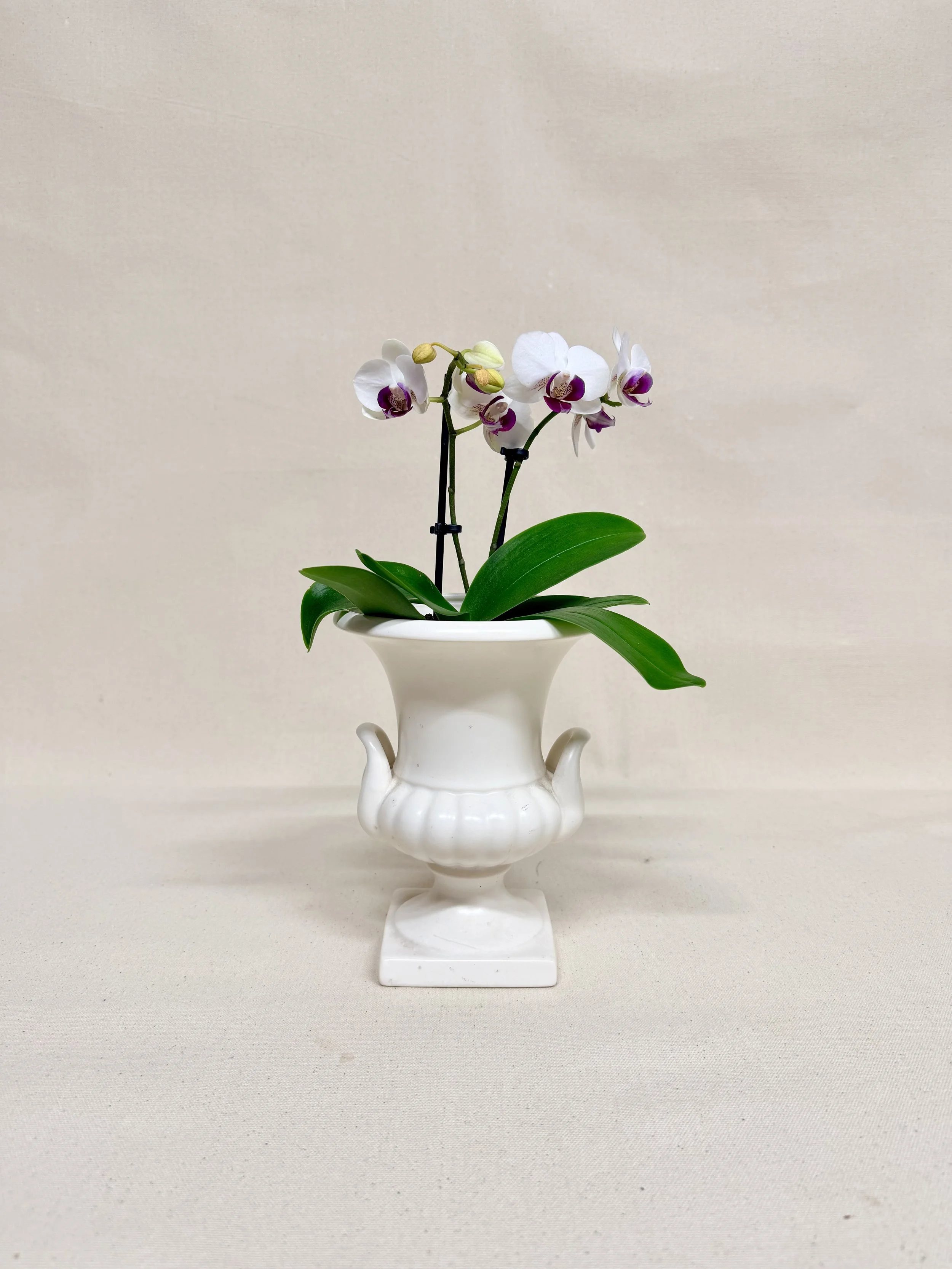 ROYAL NORFOLK VASE
