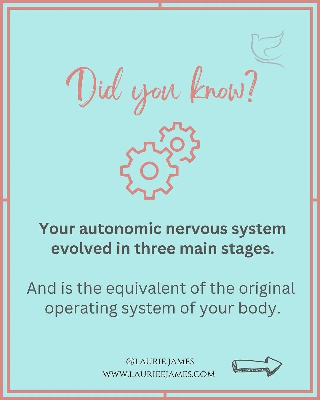 Your nervous system has evolved over hundreds of millions of years &mdash; and it&rsquo;s way smarter than you think. 🧠✨

According to Polyvagal Theory, there are three main stages of the autonomic nervous system &mdash; each designed to keep you sa