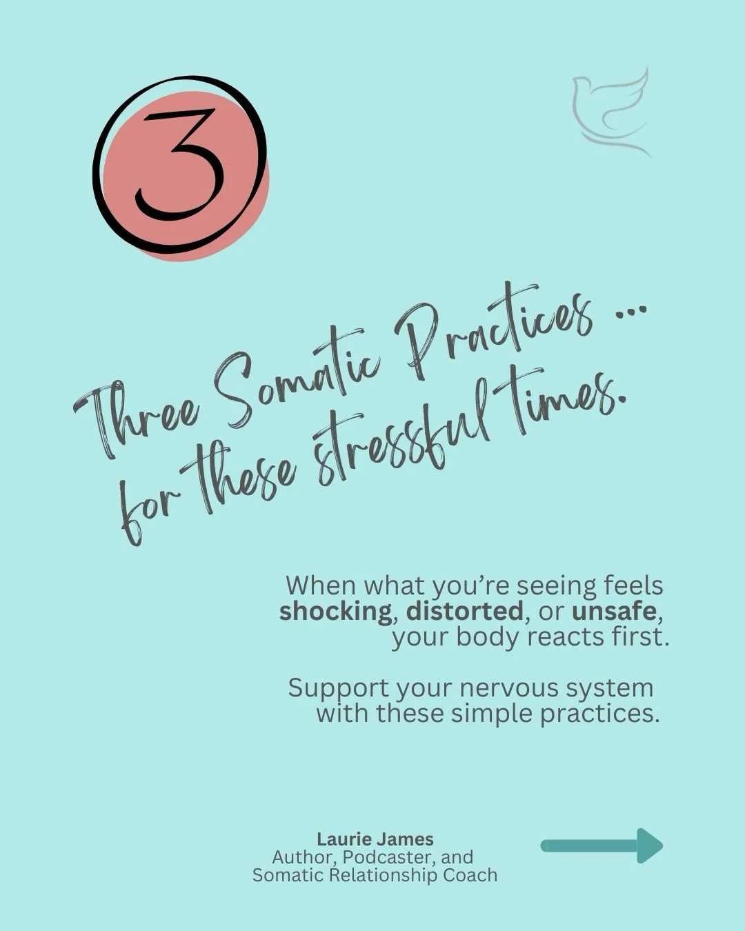 What has happened in the last two weeks is shocking, distorts our reality, feels unsafe, and your nervous system reacts before your mind can make sense of it.

Freeze. Rage. Numbness. Collapse.
 These aren&rsquo;t personal failures&mdash;they&rsquo;r