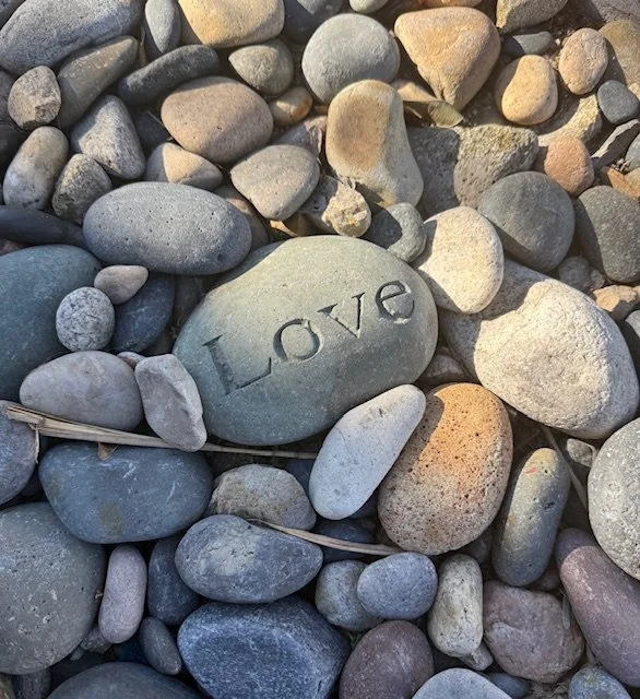 February Newsletter: Reconnect with Yourself Amid the Chaos