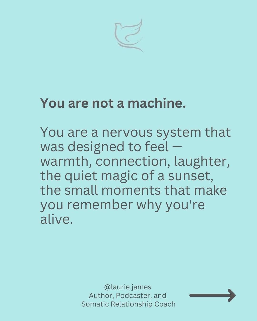 Your body speaks to you&hellip; 

Not with words &mdash; but with exhaustion that sleep doesn&rsquo;t fix. Tension that never fully releases. A quiet numbness that sets in when life finally slows down.

That&rsquo;s not weakness. That&rsquo;s a nervo