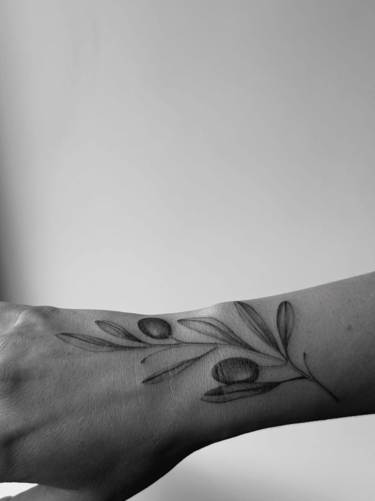 Rooted in dry earth,
reaching toward the light.
The olive branch reminds you:
softness can survive anything.
🤍