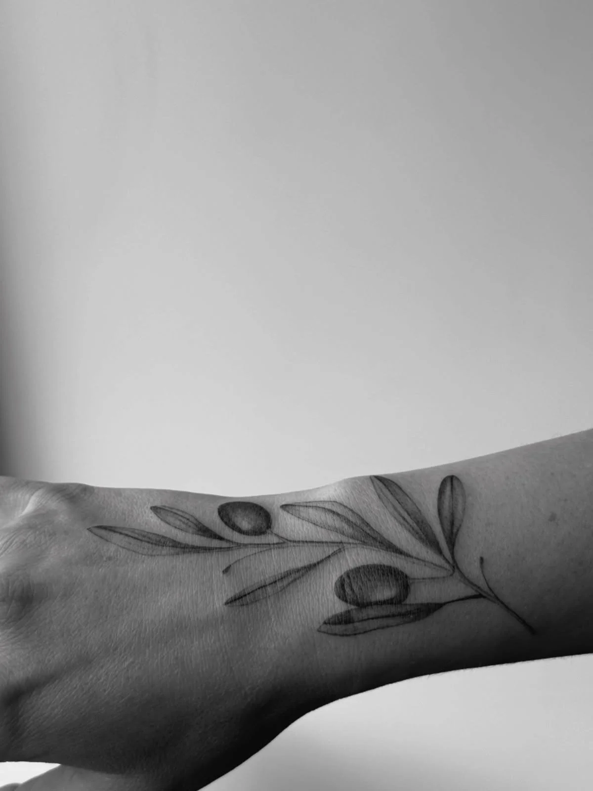 Rooted in dry earth,
reaching toward the light.
The olive branch reminds you:
softness can survive anything.
🤍