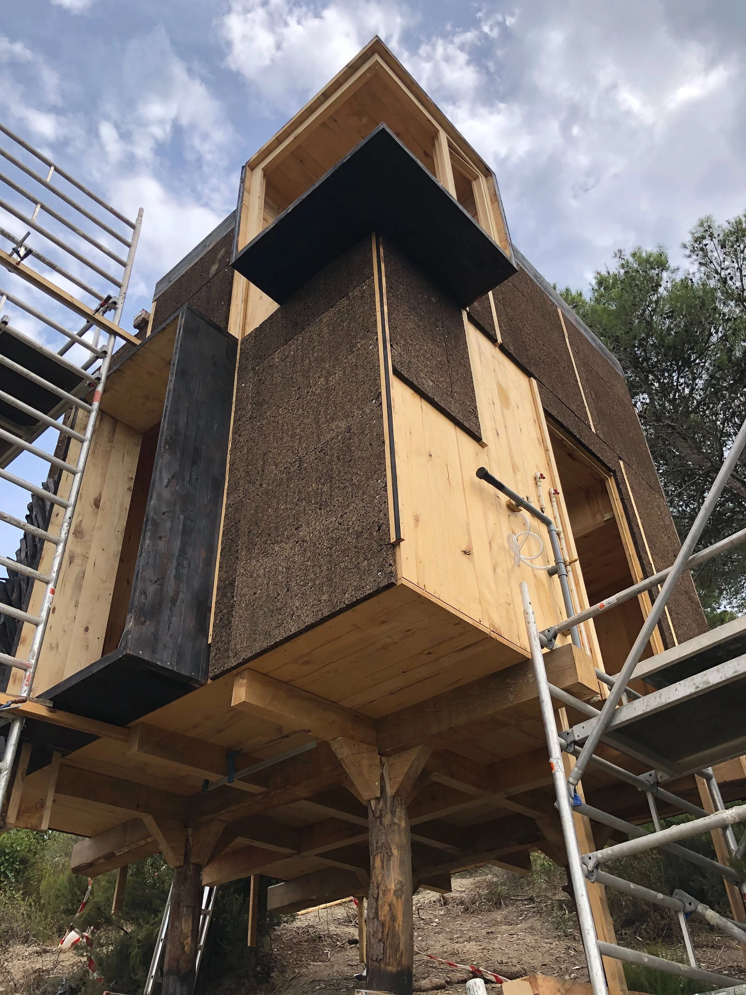 Image from iOS (4).jpg