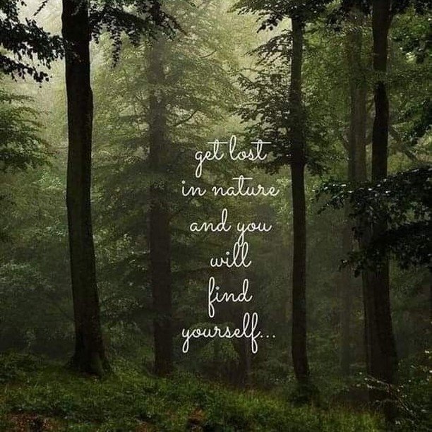 De Heilzame Kracht van Bomen en Bosbaden.

Bomen, die stille wachters van het bos, hebben een unieke energie die ons kan helpen vertragen, loslaten en herstellen. 

Wat brengt bosbaden voor jouw in het dagelijks leven?
🌳Meer balans en rust in drukke