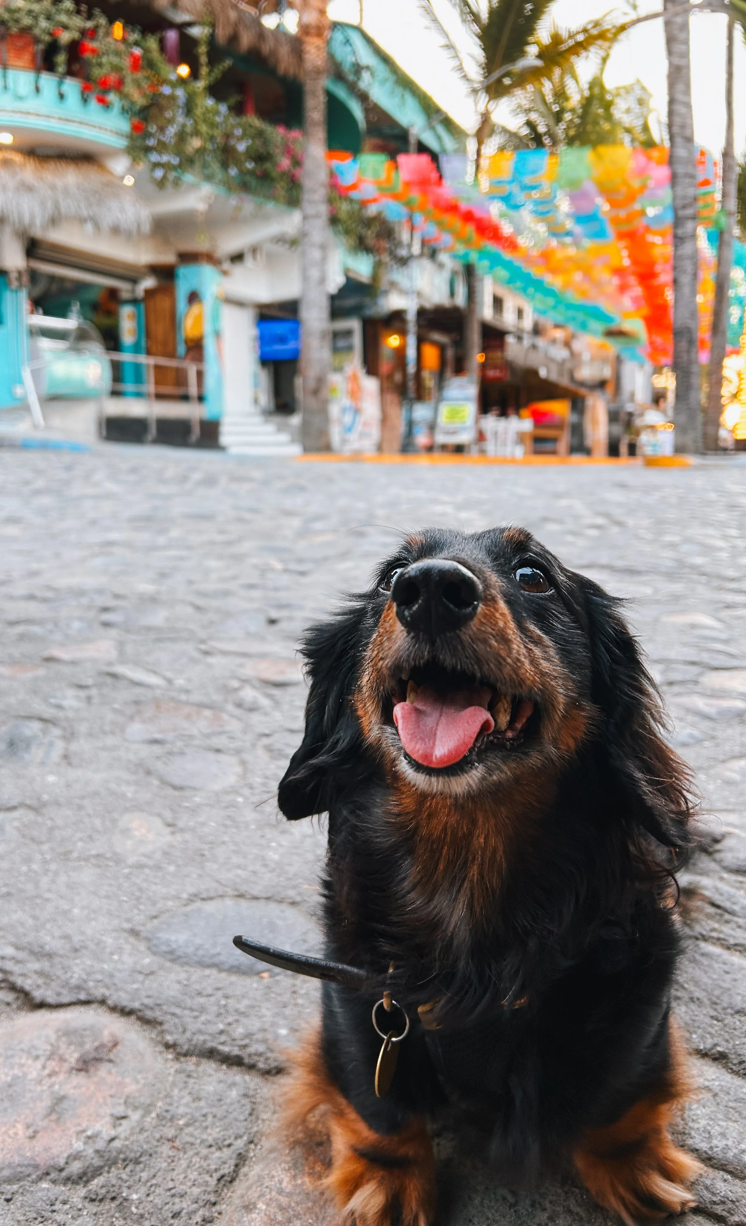 sayulita, mexico