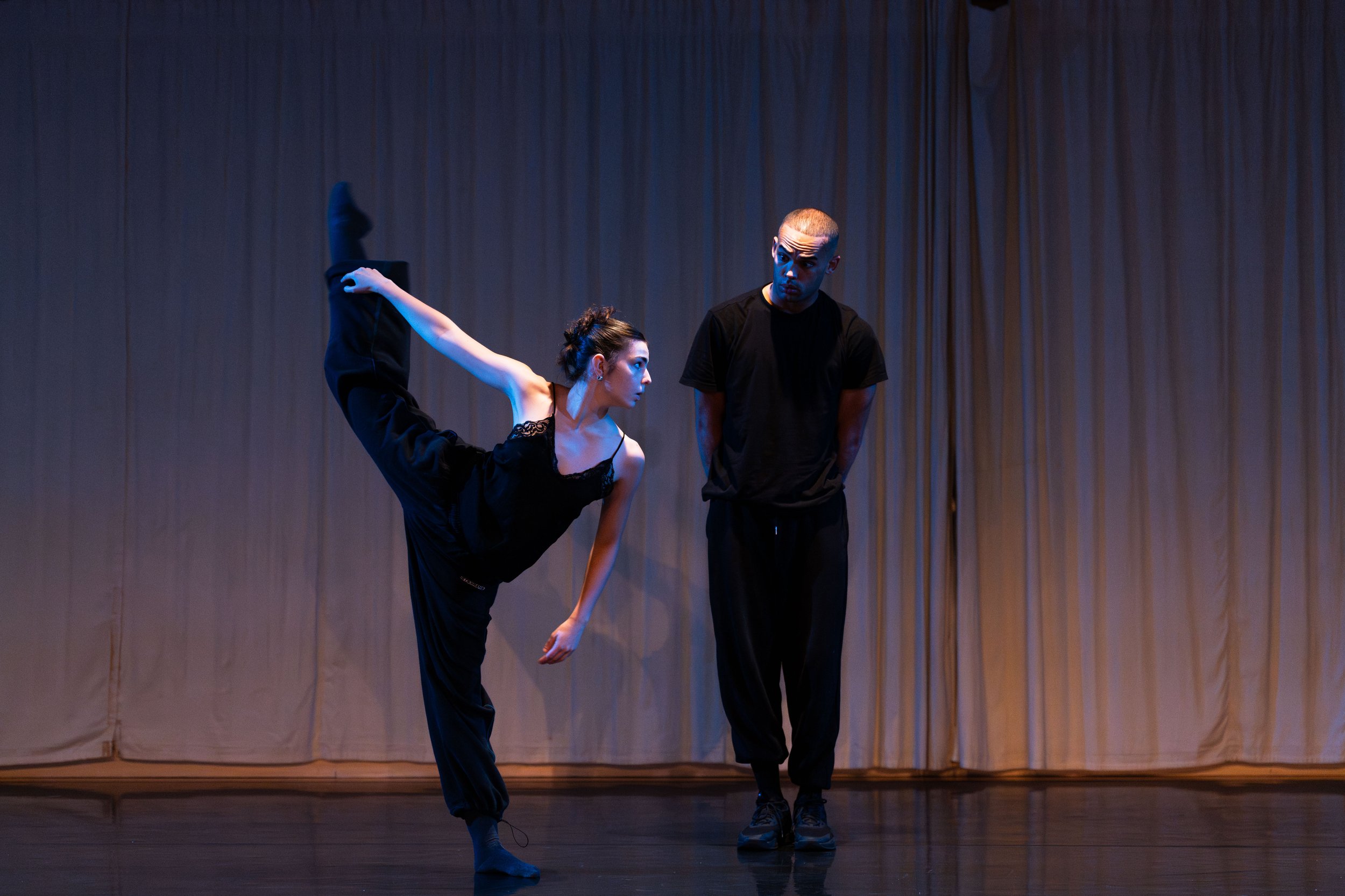 015 Touchwood 2024 [Henry Curtis].jpeg