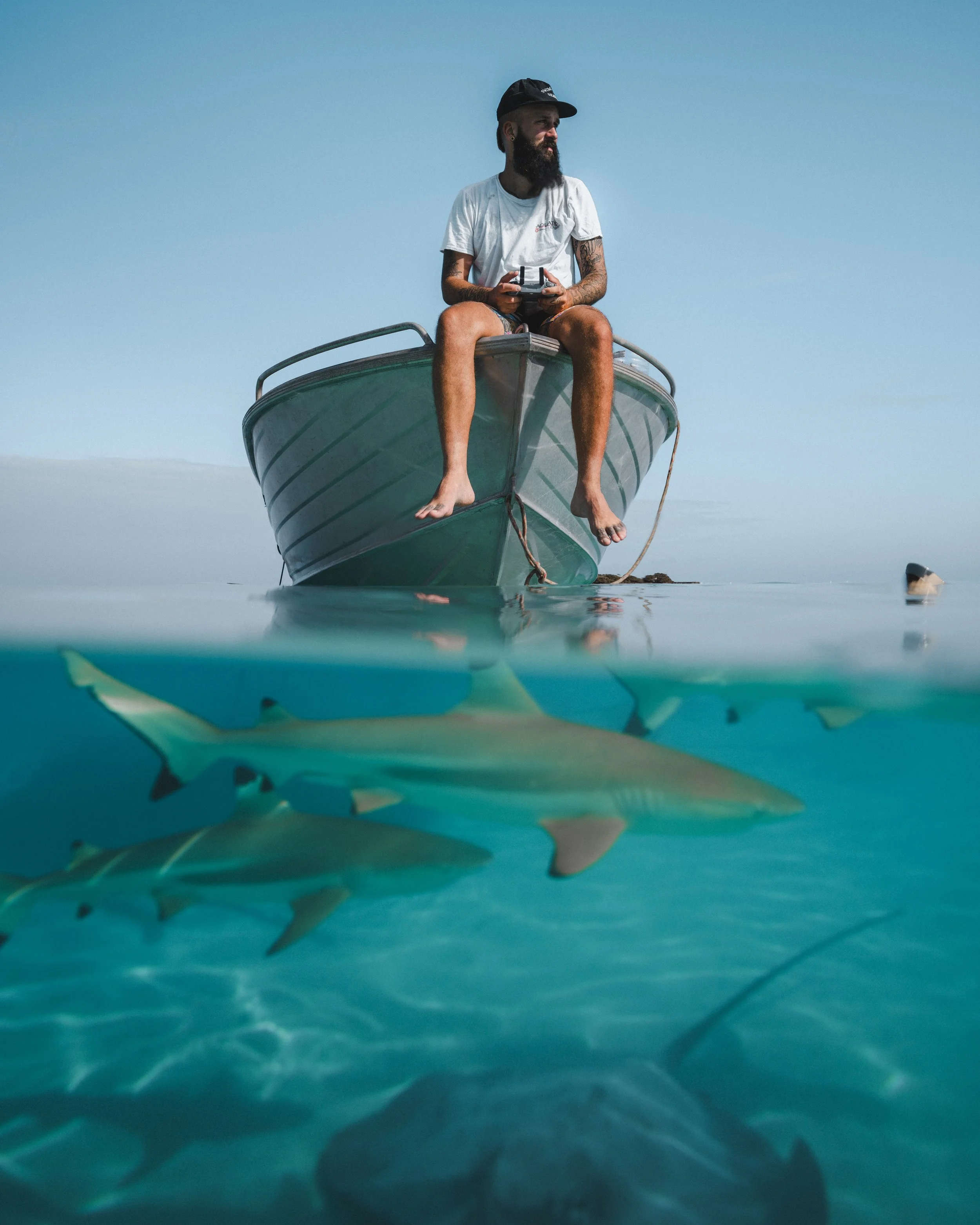 nico sharks and stingrays.jpg