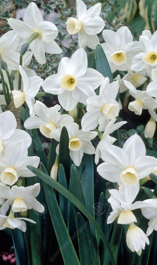 Screen Shot 2023-05-23 at 06.45.02.png