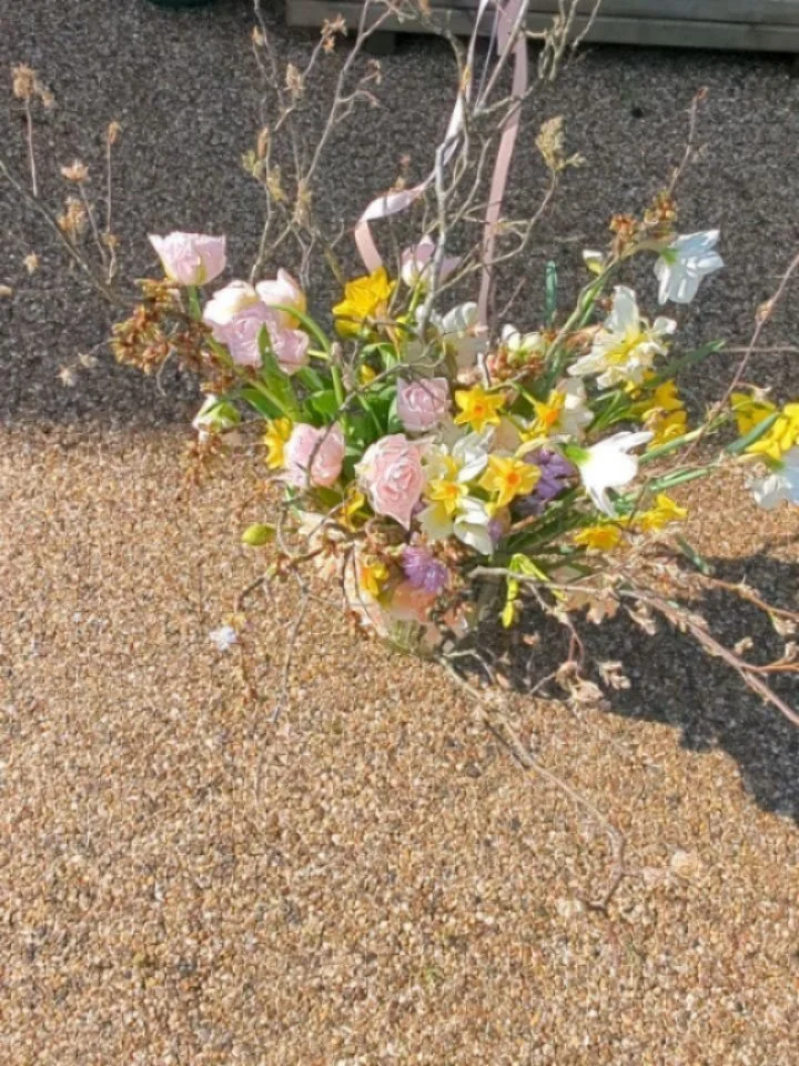 C A P T U R E D
▫️
Yep, so much for my constant content. Here's a couple of weeks worth of bits from Paris, Plants and Pals. I managed to do 24 hrs in Paris with my sister &amp; mam, a full mother's day weekend, a hen do in Hackney and a birthday par