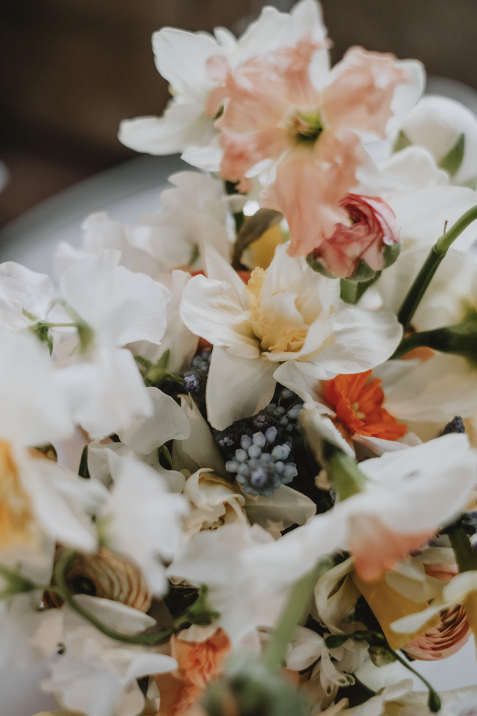 Screen Shot 2023-08-08 at 10.58.43.png