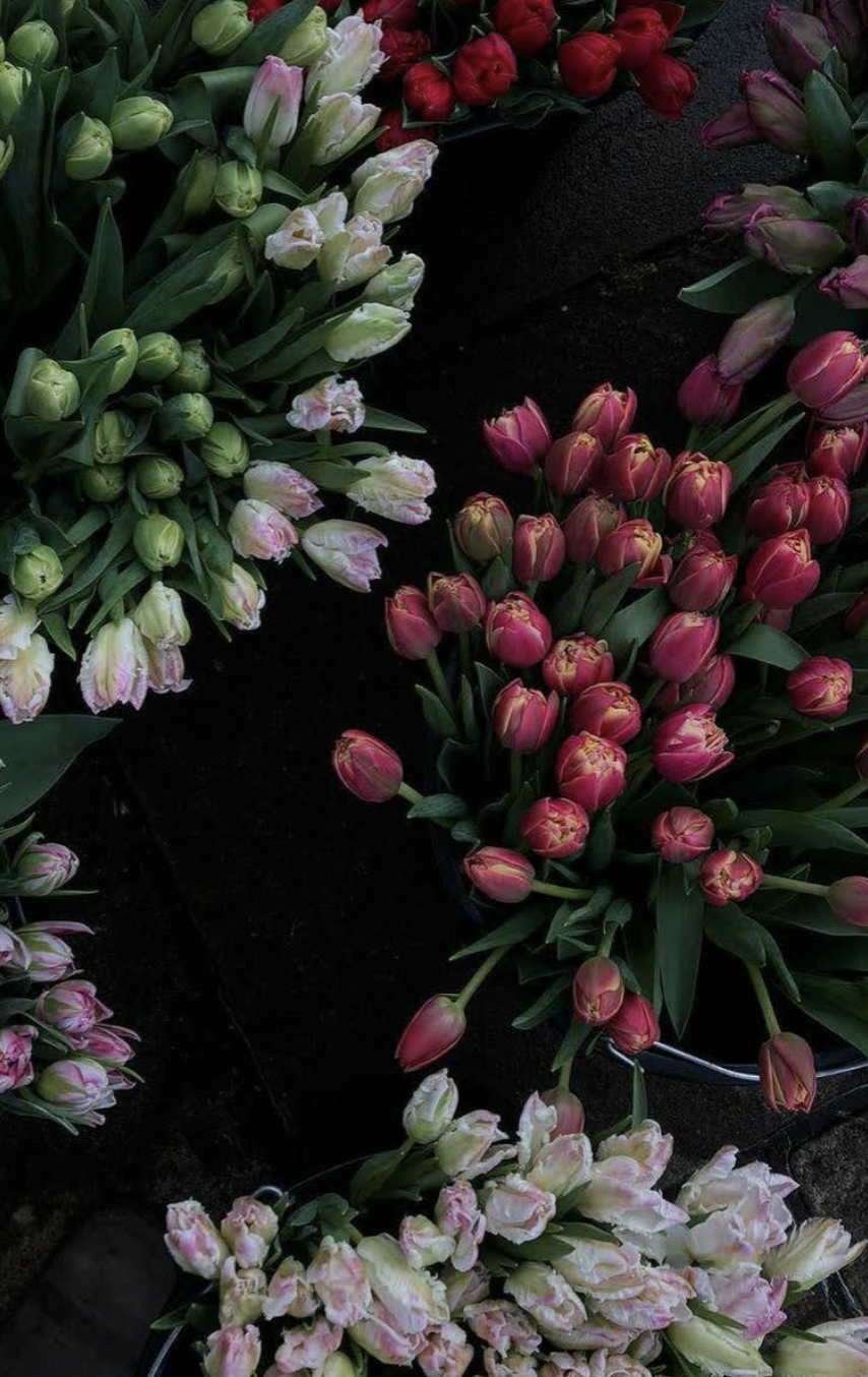 Screen Shot 2023-01-08 at 15.41.01.png