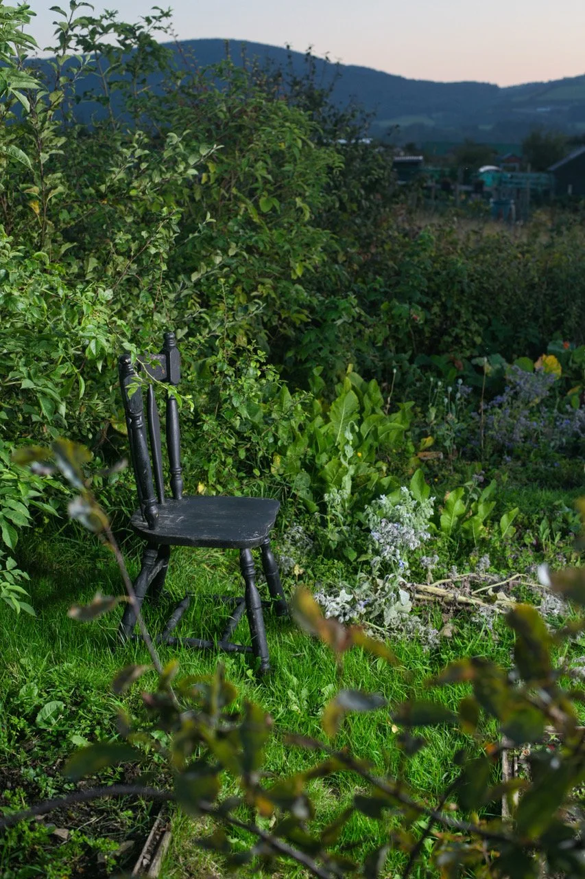 allotments nef60.jpeg