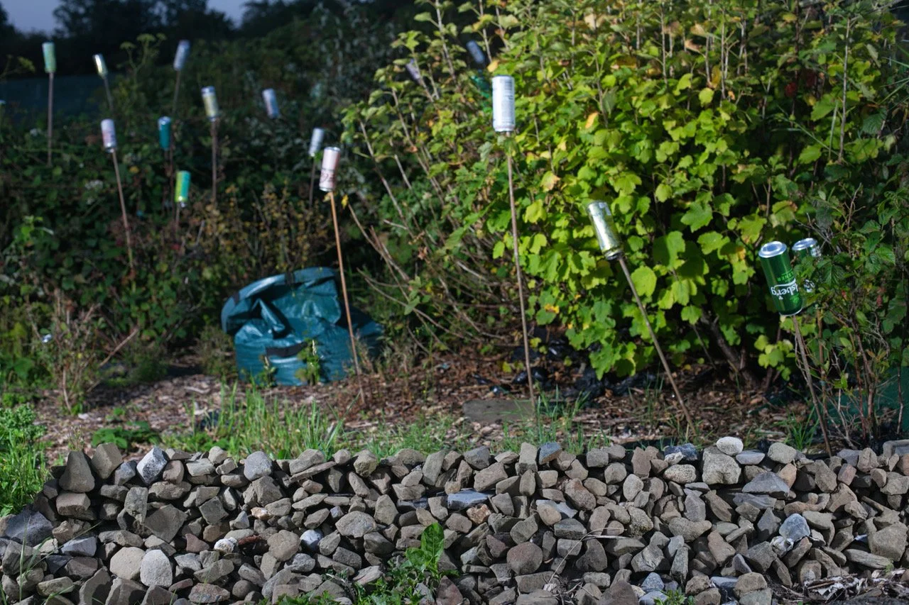 allotments ghd4.jpeg