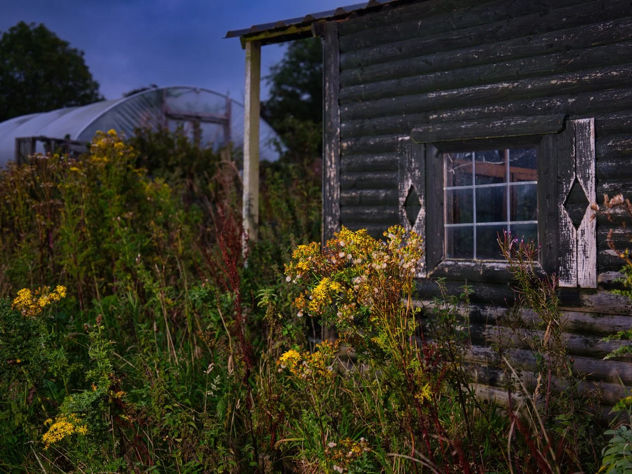 large file allotments 01.jpeg