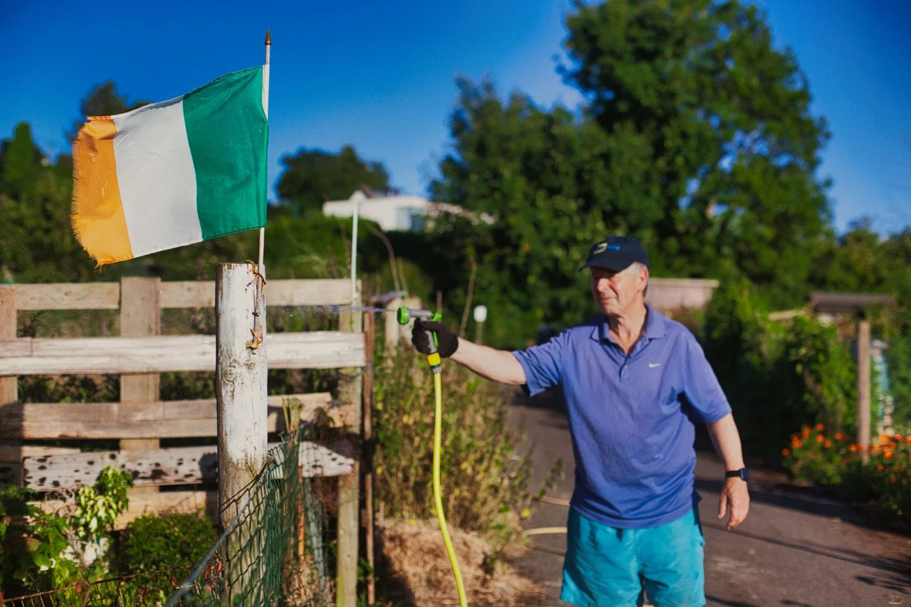 allotments 1876d.jpeg