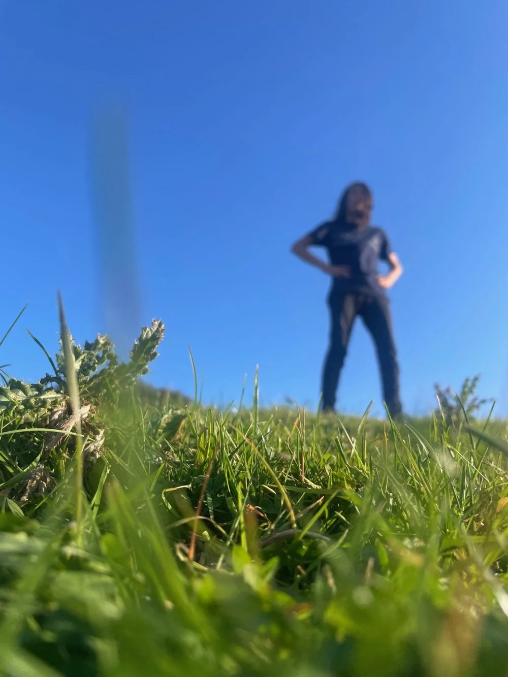 IMG_0963.jpeg
