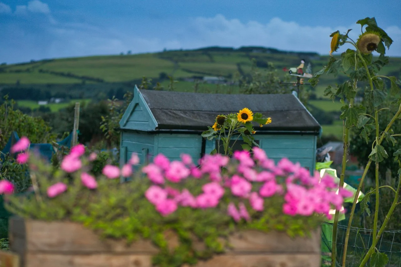 allotments djkh245.jpeg