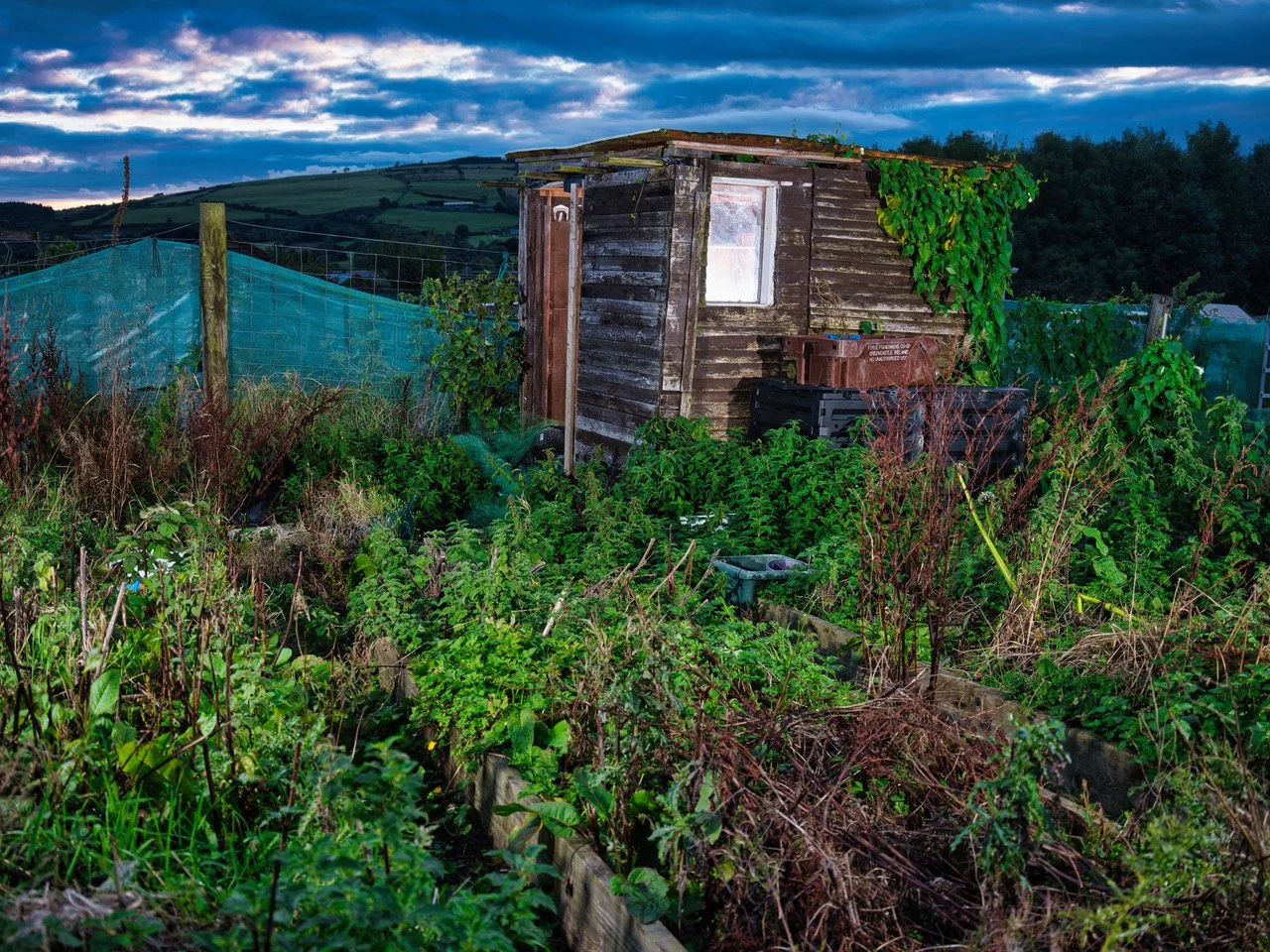 allotments qlet30.jpeg