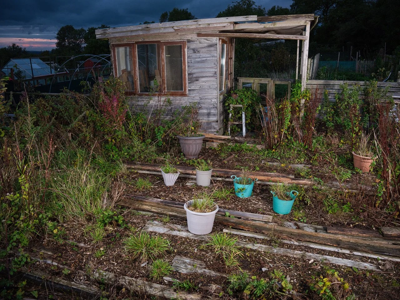 allotments agek351.jpeg