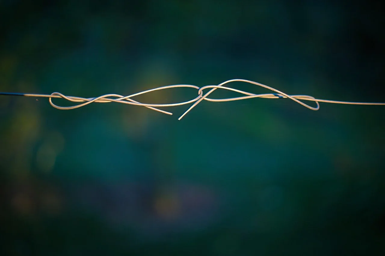 allotments sdgkv645.jpeg