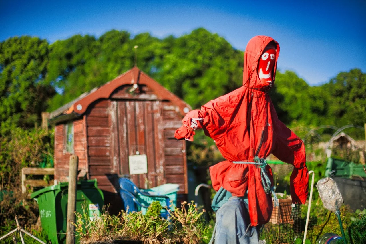 allotments 234978yb.jpeg