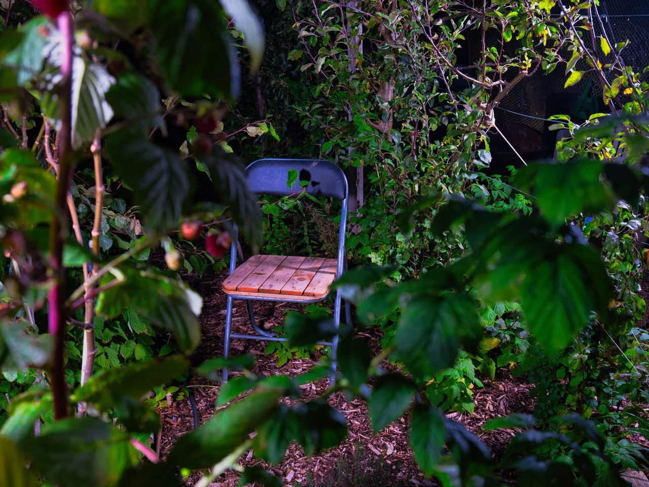 allotments large file 7.jpeg