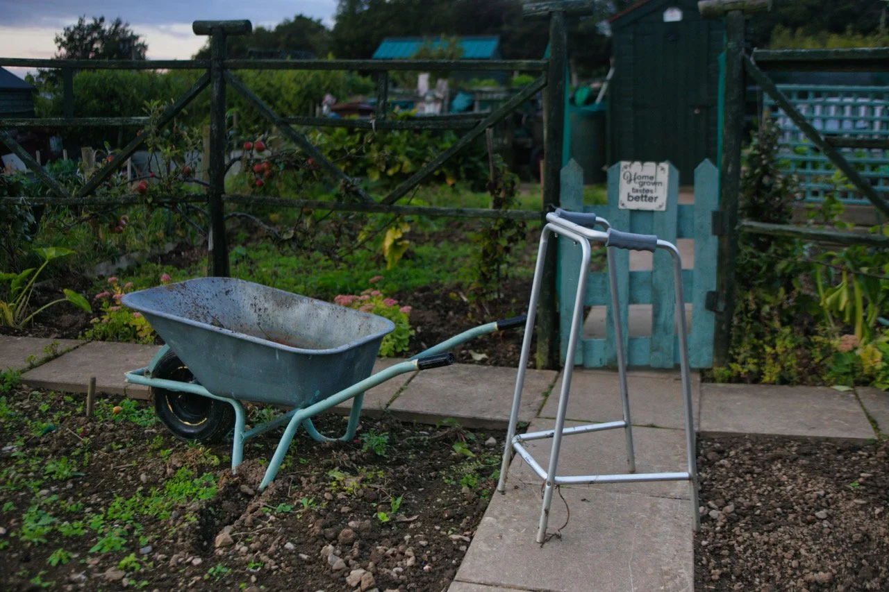 allotments zimmer 2.jpeg