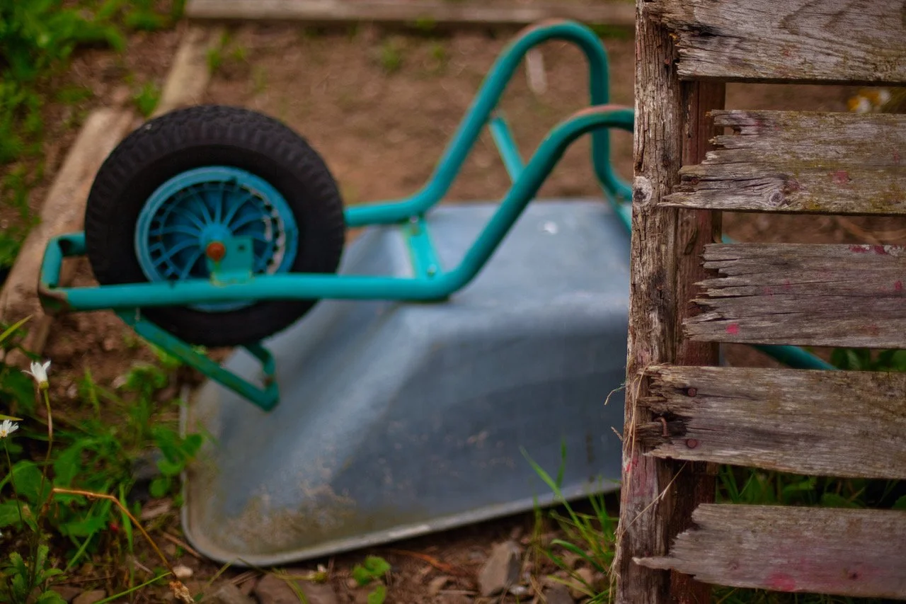 allotments w123421h.jpeg