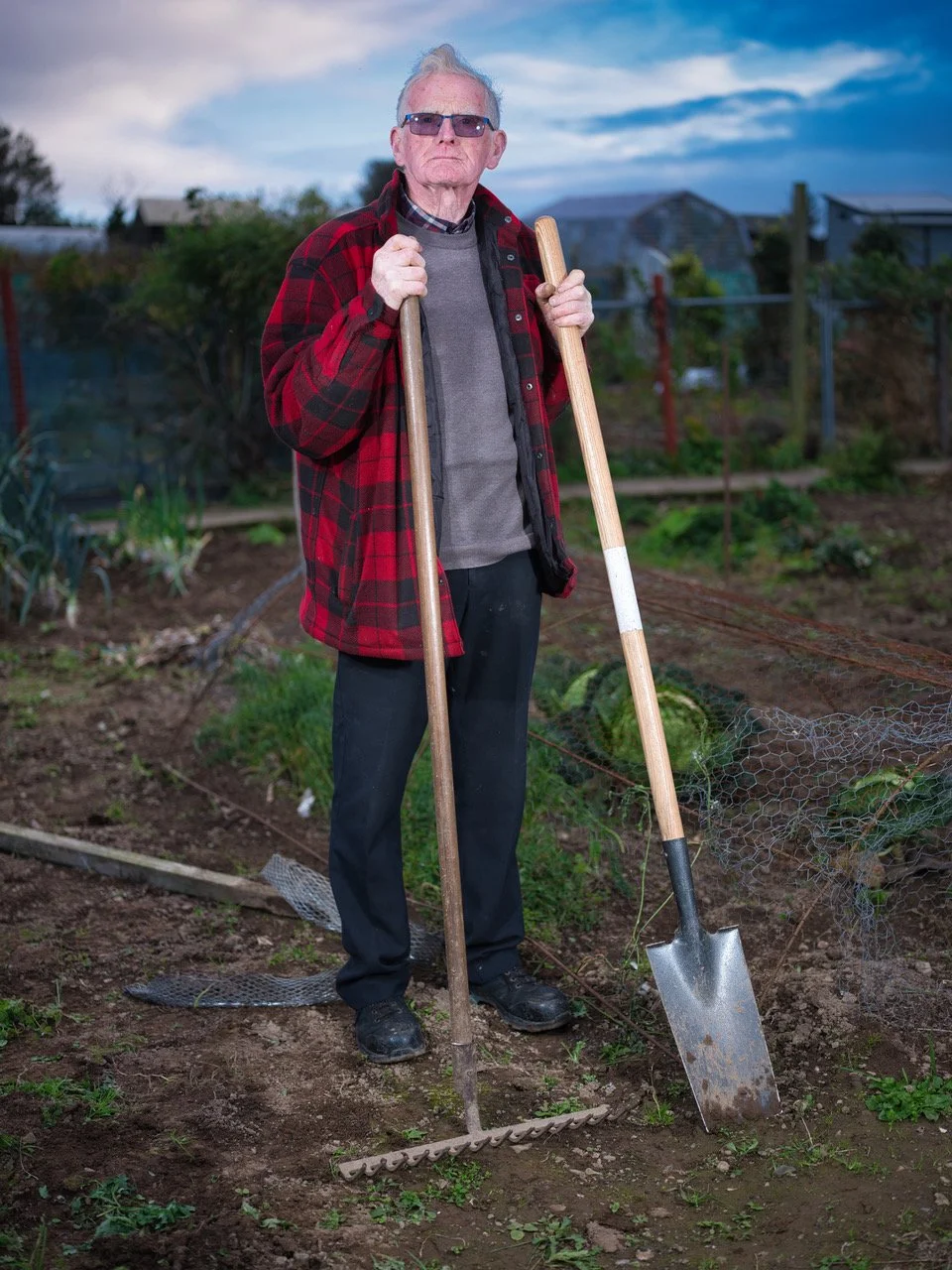 web Allotments 240iu8.jpeg