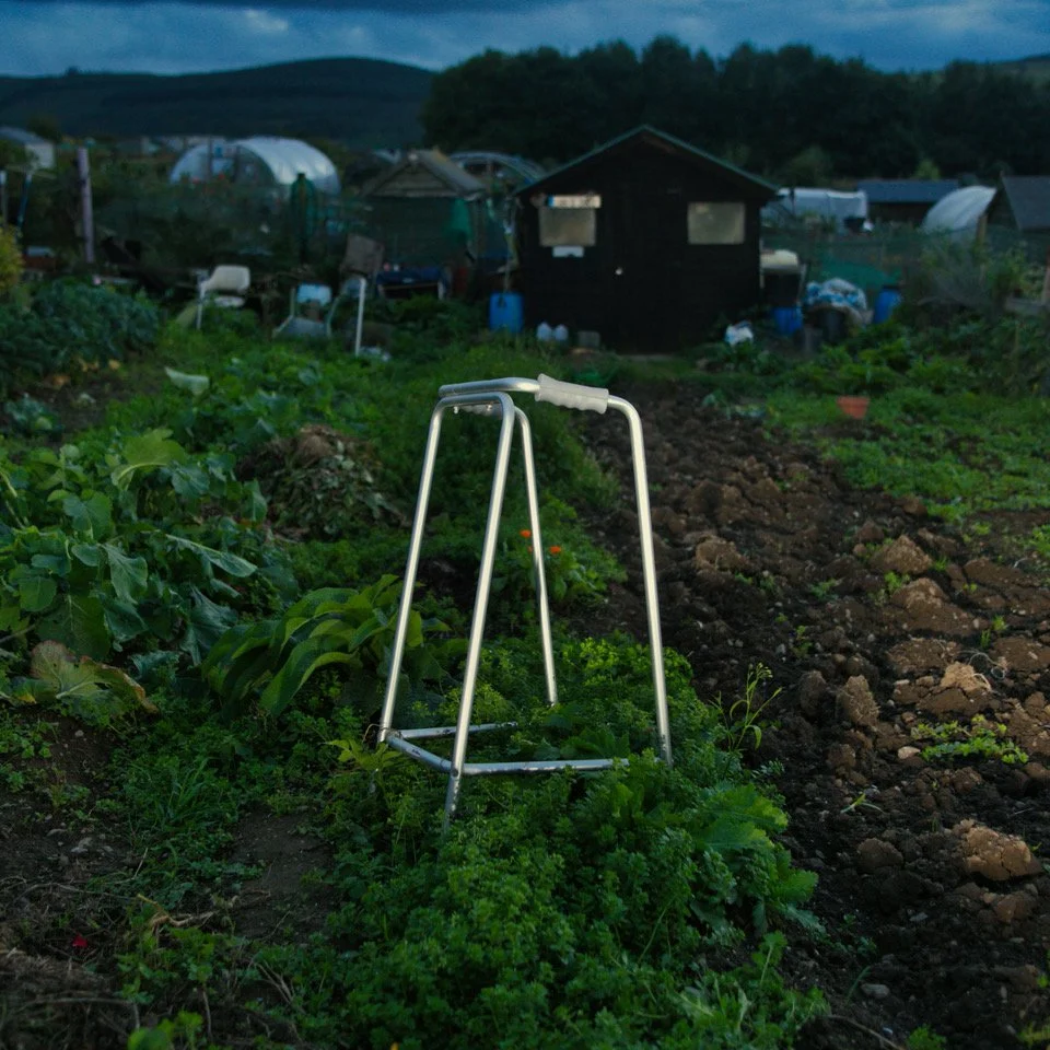 allotments zimmer.jpeg