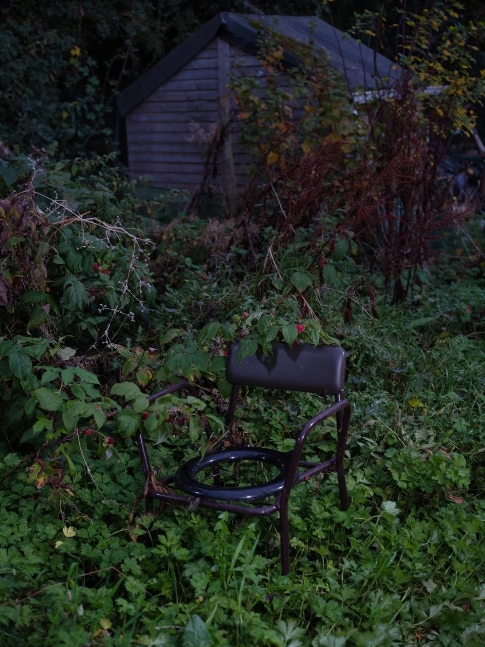 allotments eo011 2.jpeg