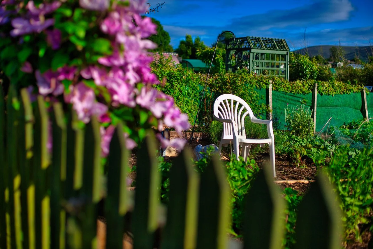 allotment h72349h.jpeg