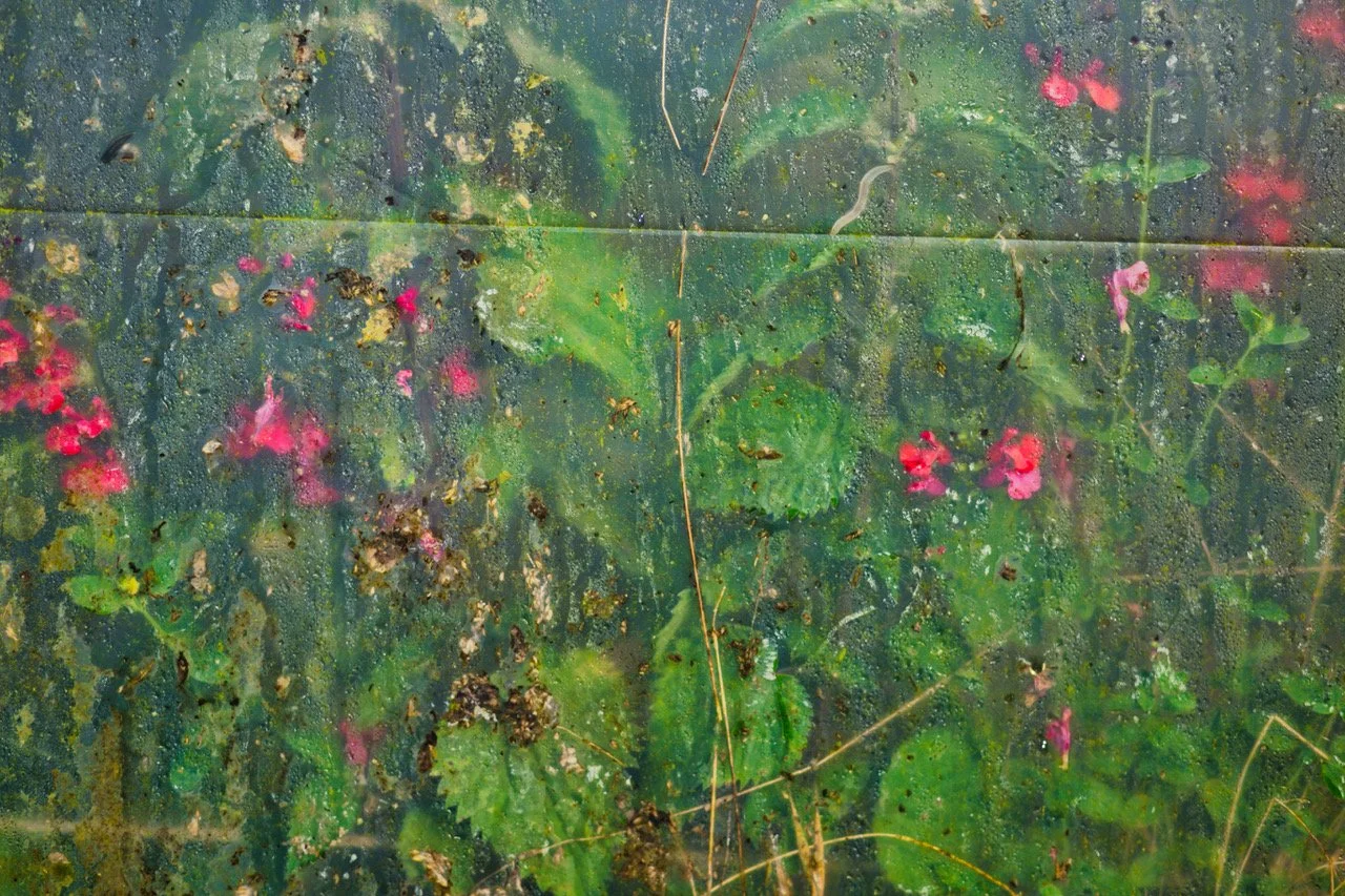 allotments hjrg4246.jpeg