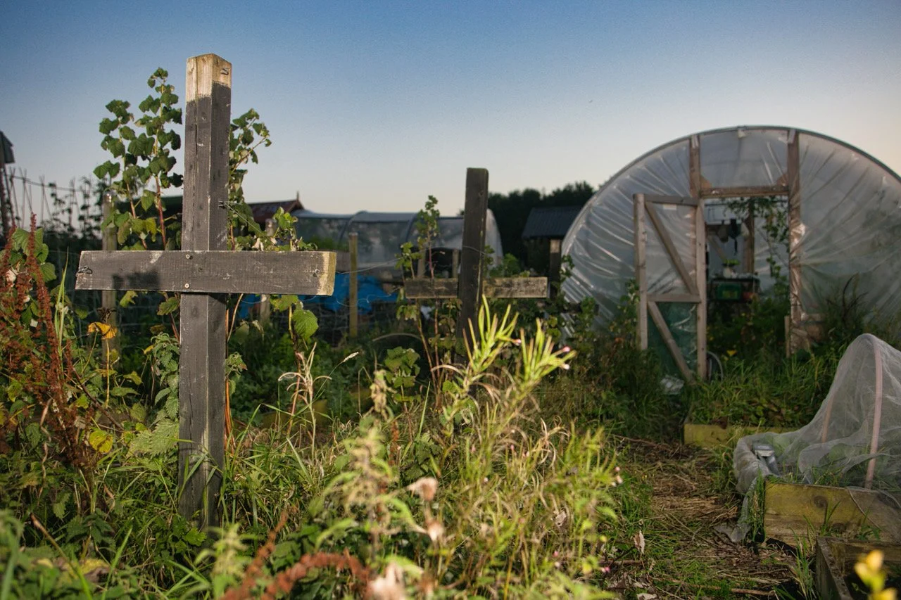 allotments rlgh79.jpeg