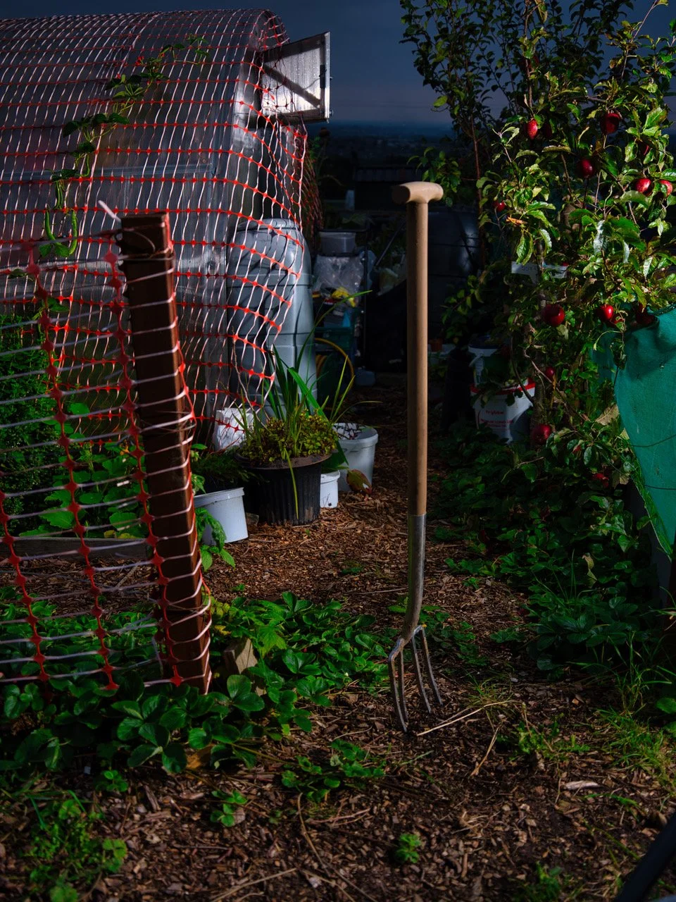 large file allotments 6.jpeg