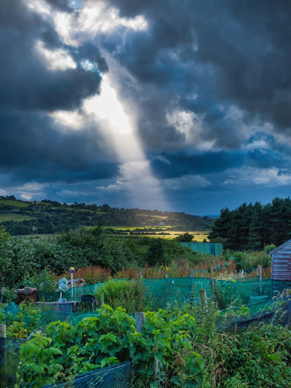 allotments gjw4t3457.jpeg