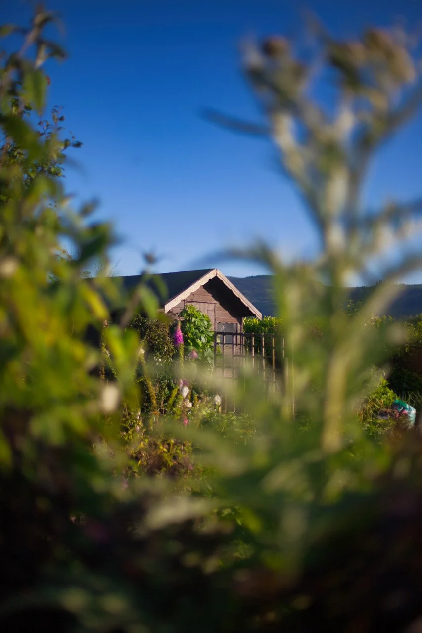 allotments h1241.jpeg