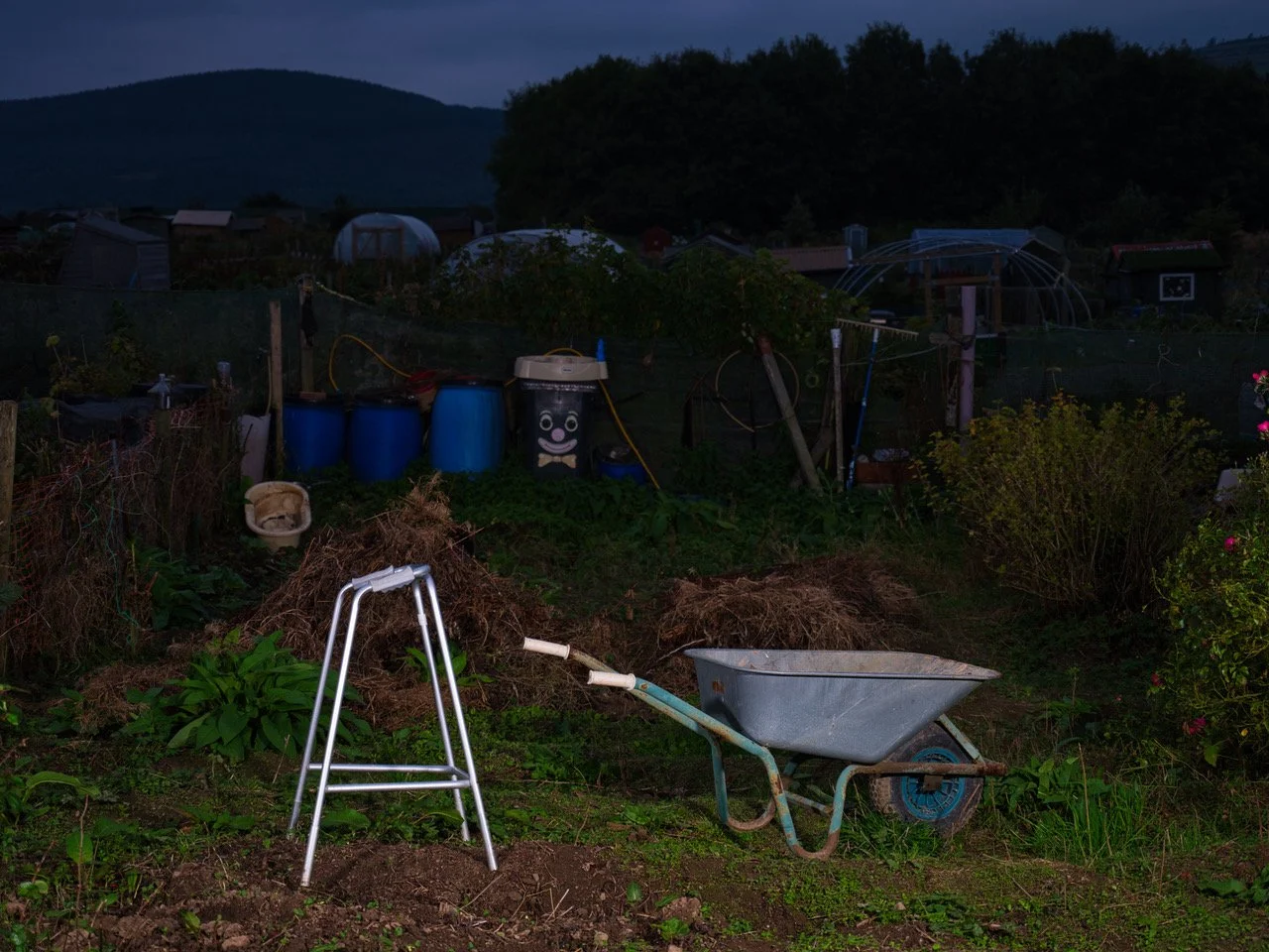 allotments large file 5.jpeg