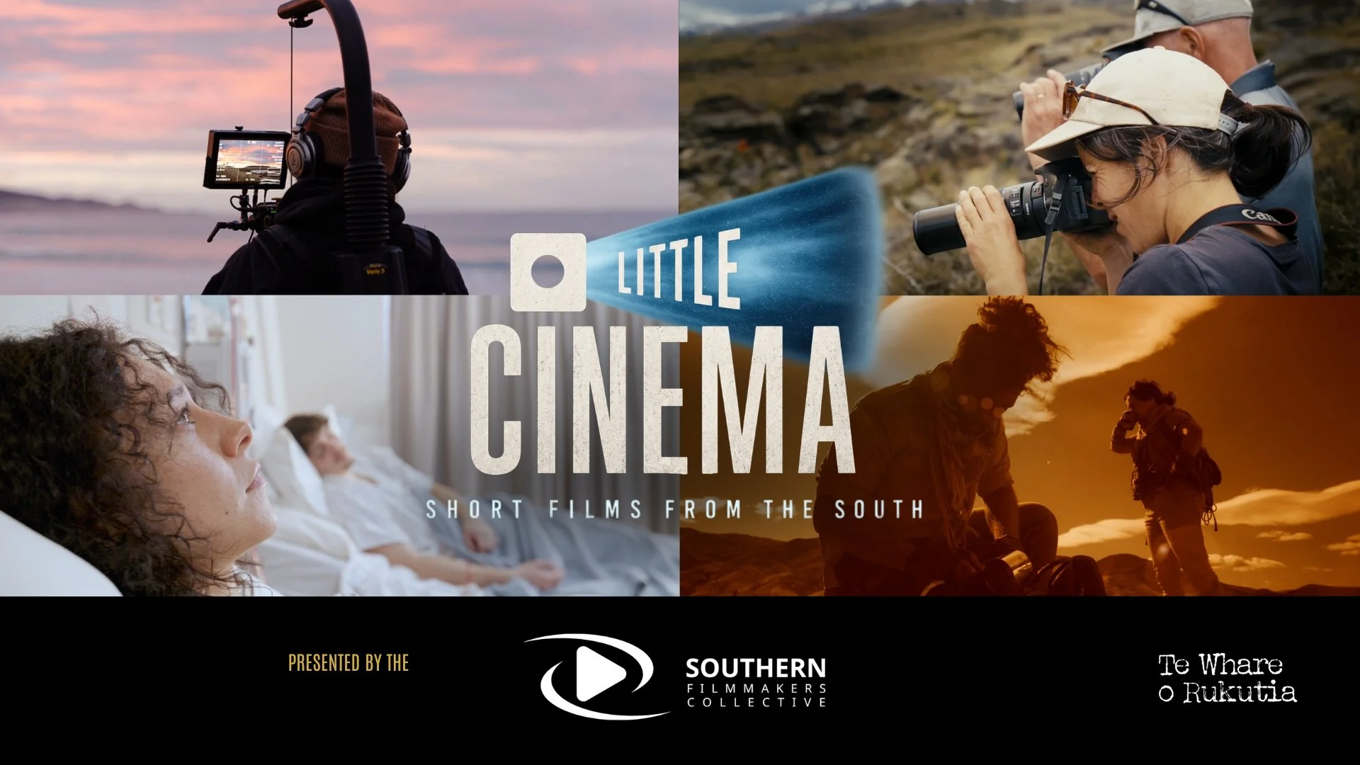 Little Cinema: Dunedin