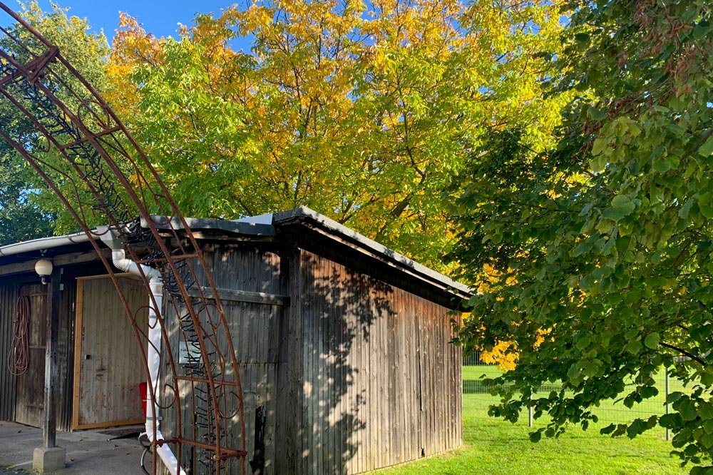  Außenaufnahme der hölzernen Hütte im Garten der Senfbude, umgeben von Bäumen mit herbstlichem Laub. 