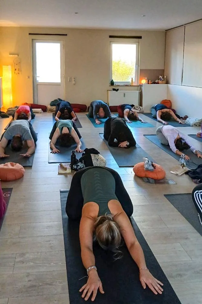 Yoga und Qigong Kurse auch für die Gäste der Senfbude