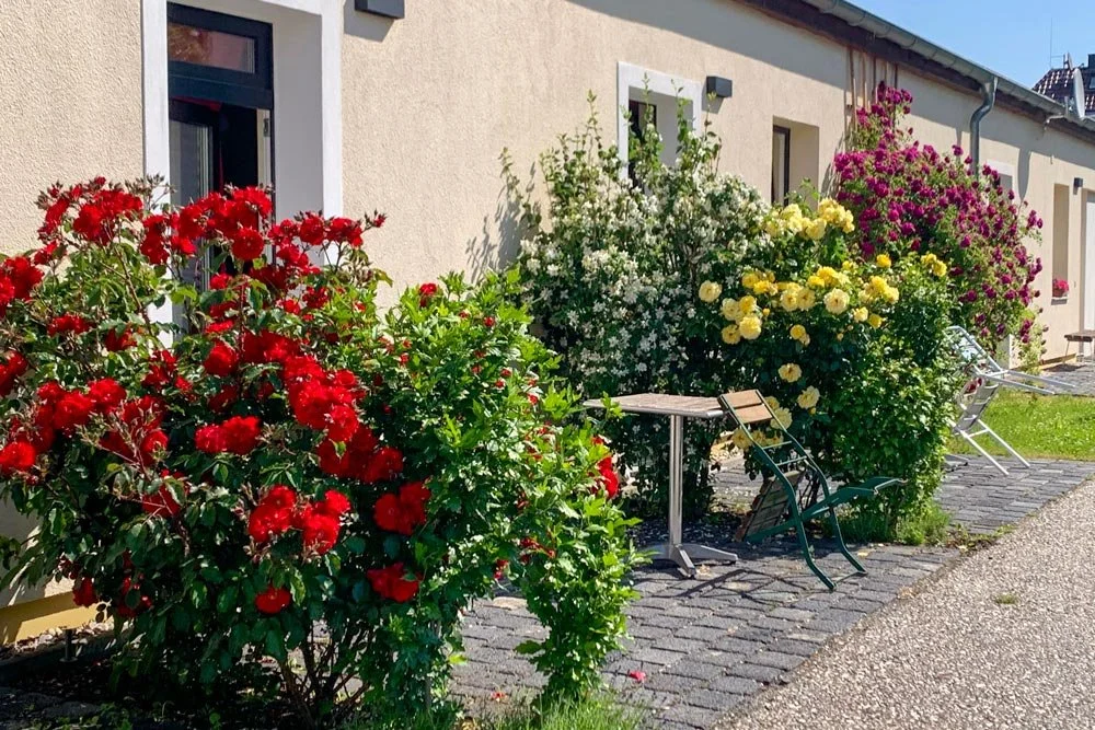 Blumenreicher Vorgarten vor den Ferienwohnungen in Leipzig
