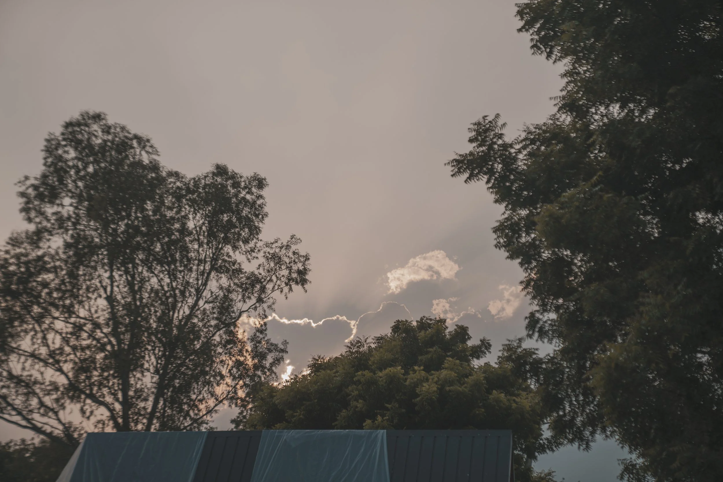 Romantic Pre-Wedding Shoot at The Barn, South Delhi: Shubham and Shreeya’s Enchanting Experience