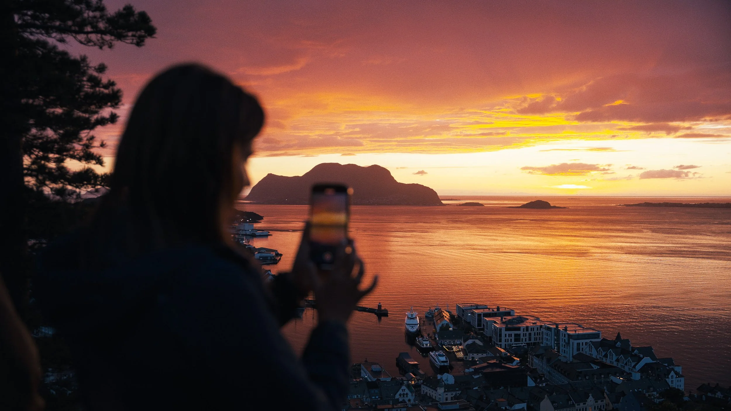 Still 2025-10-01 213515_1.39.2.JPG