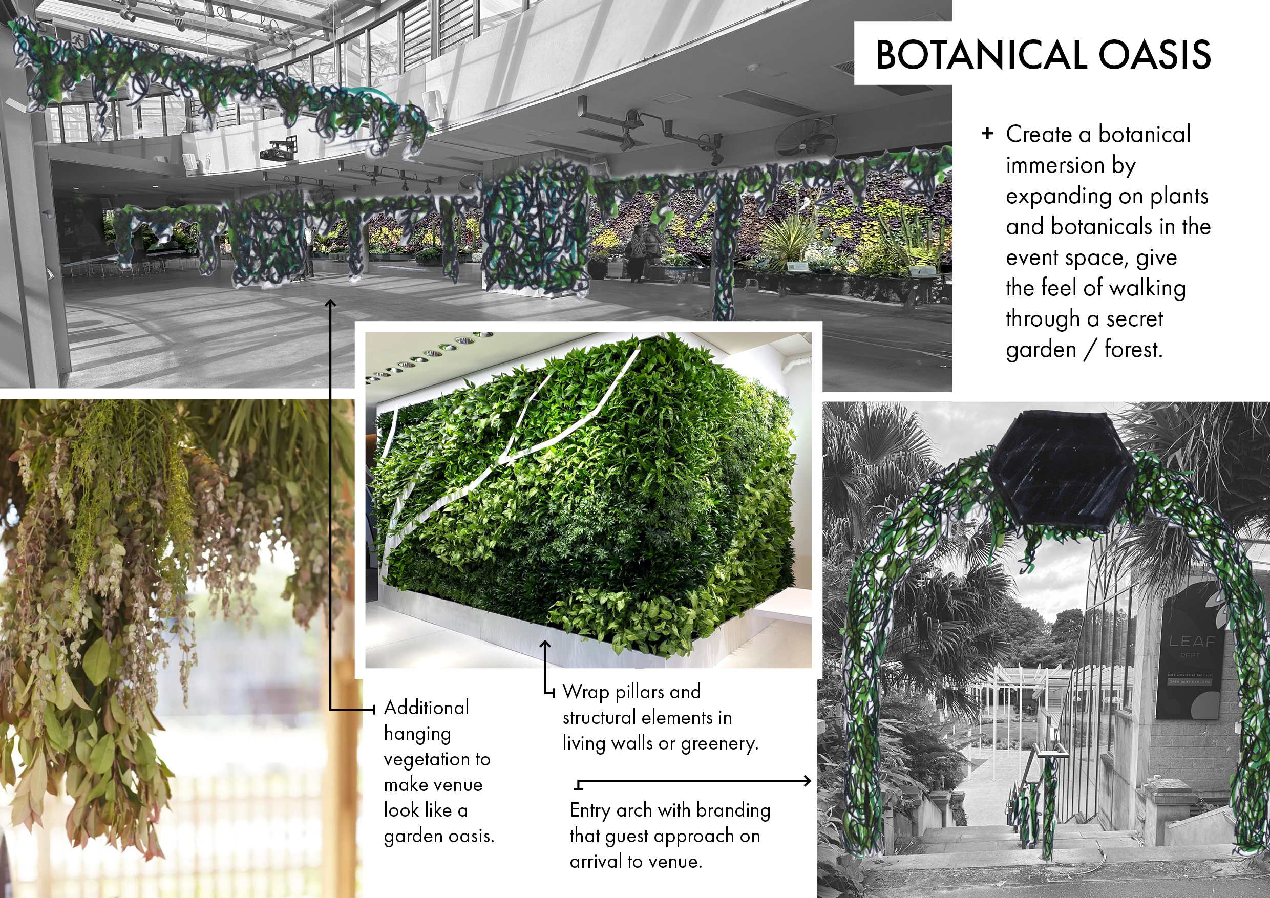 BeautyBrandLaunch_ConceptBoards3.png