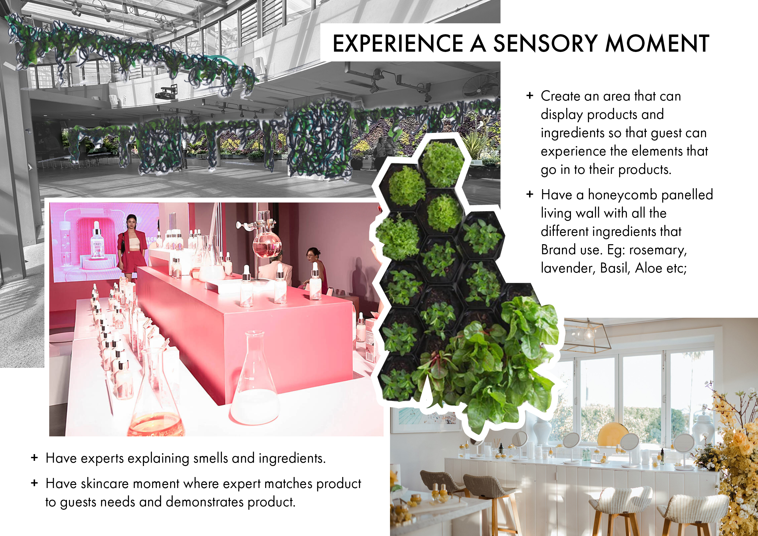 BeautyBrandLaunch_ConceptBoards5.png