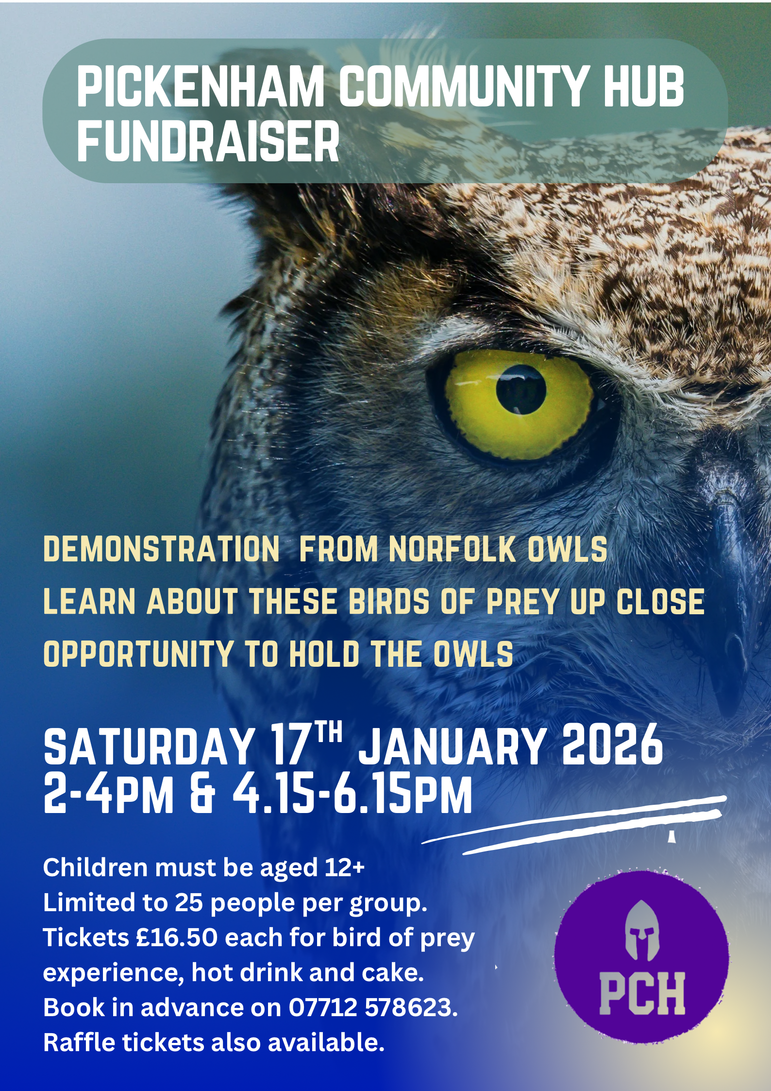 Community Hub Fundraiser with Norfolk Owls