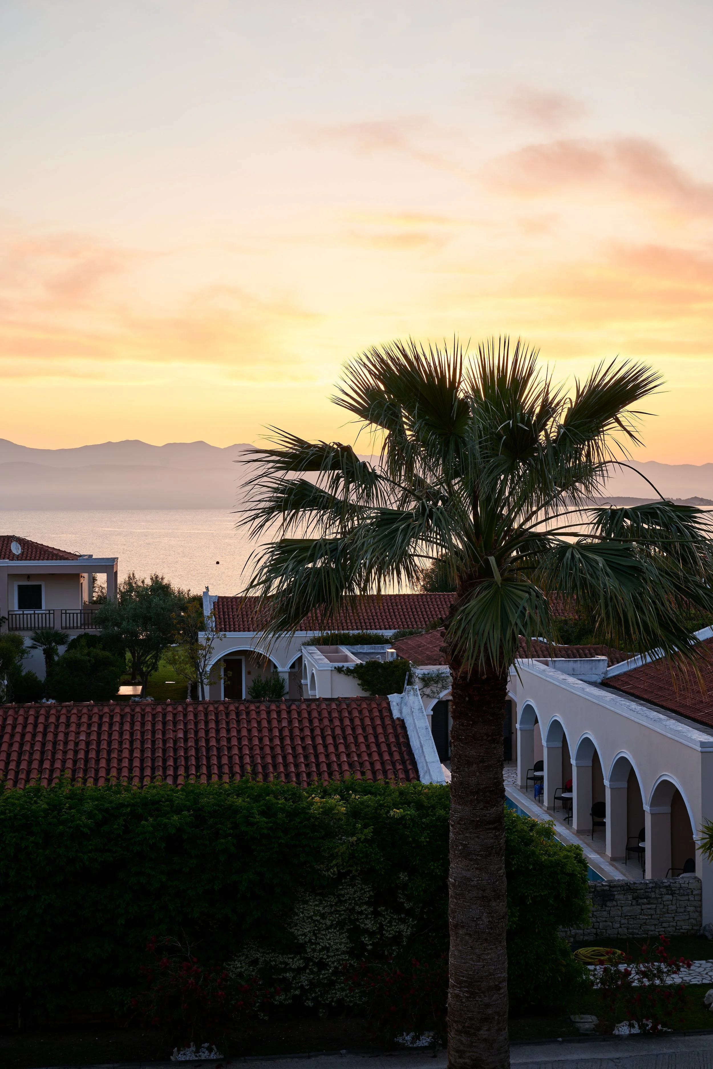 2023-05-19 04.24.37 CLF_6423_EDIT.jpg